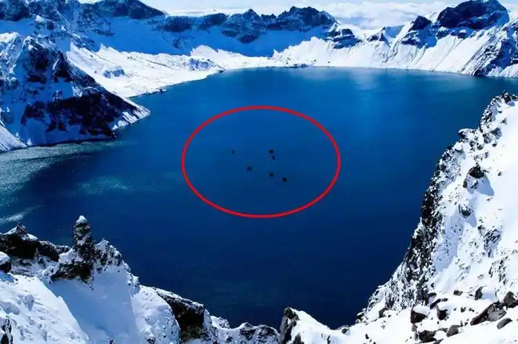长白山天池惊现水怪每年都会出现专家锁定了这种生物