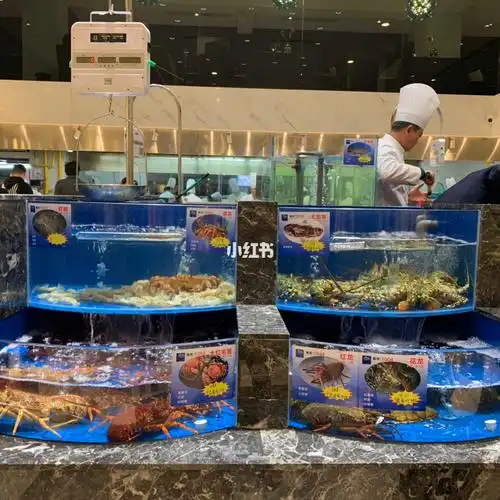 常州最新网红餐厅(莫图鲁尼)打卡