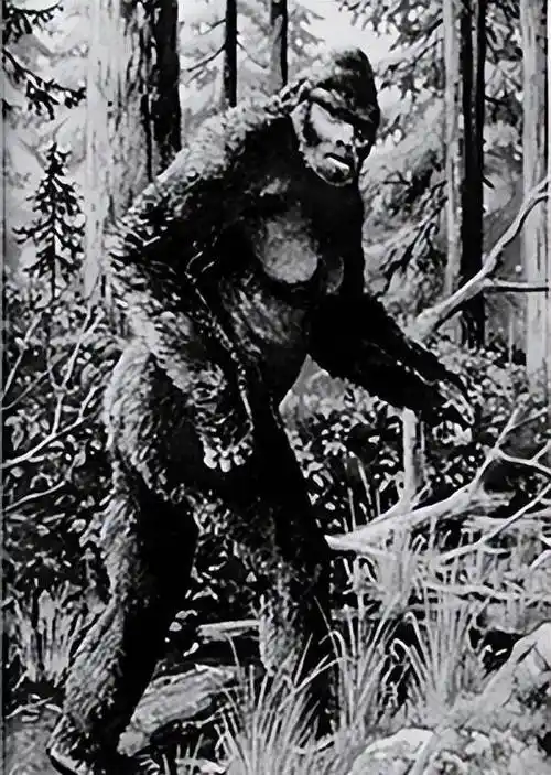 湖南大熊山疑似出现红毛野人,调查发现,此地确实适合野人生存