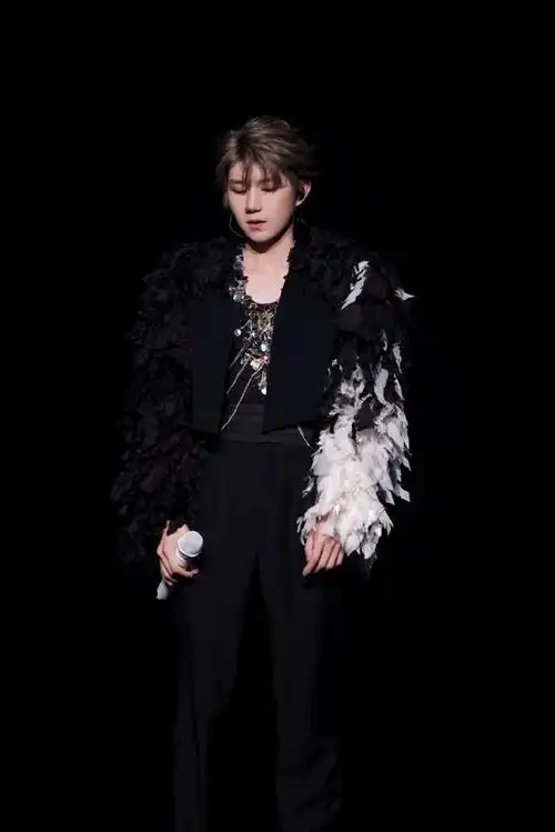 王源客厅狂欢重庆站惊艳全场,黑白羽翼如暗夜仙子