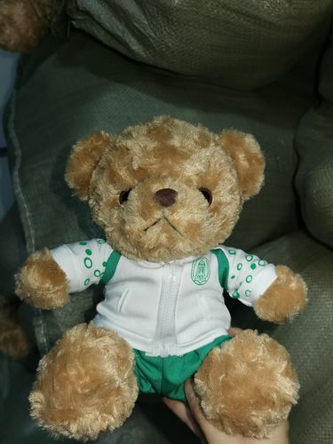 北京清华附中校服熊(可定制定做各个学校的校服熊)