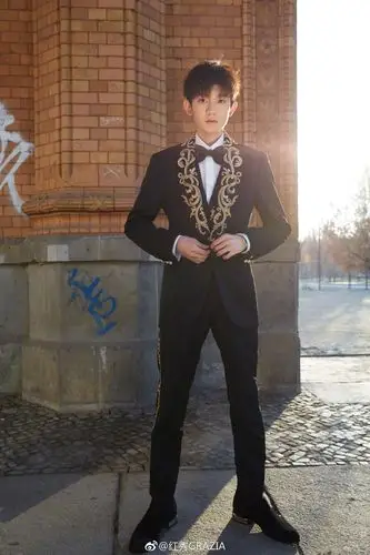 王源出席柏林电影节首映红毯印花西装帅气俊朗