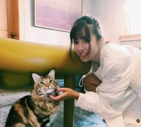 陈赫妻子张子萱活脱脱16岁少女比杨幂还少女毫无妈味