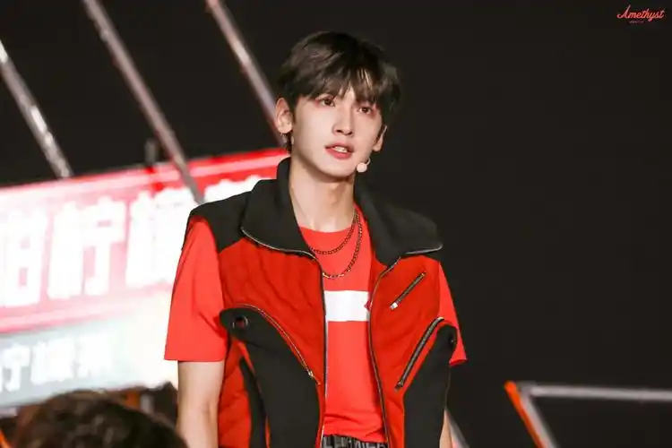 翟潇闻 - 堆糖,美图壁纸兴趣社区