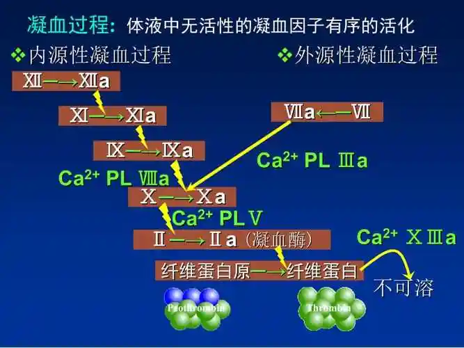 作用于血液系统药物-ppt文档.ppt