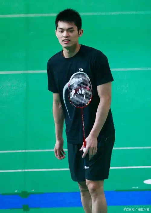 中国羽毛球一哥林丹:运动生涯的巅峰与低谷