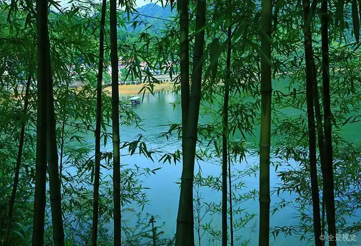 竹林_渔村_水面_高清图片_全景视觉
