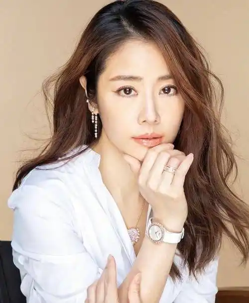 我们先来聊一下她的轮廓,林心如的脸型从以前的圆脸,变成了比较有气质