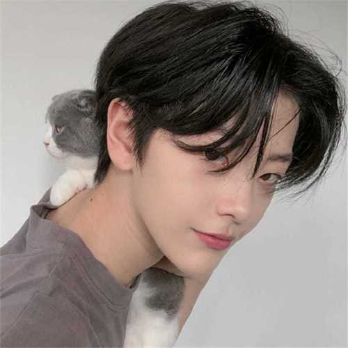 假发男短发韩版帅气 学生中分_网红同款假发男中分刘海短卷发韩版帅气