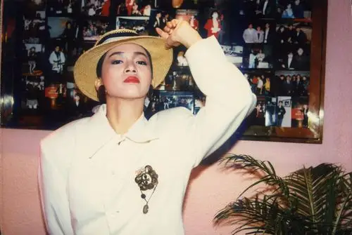 梅艳芳高清美图集锦