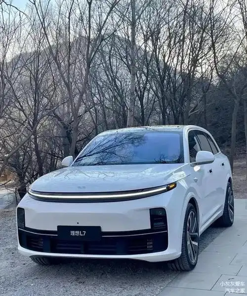 理想汽车打造出超越传统品牌的用车体验,成为量价双高的豪华品牌_车家