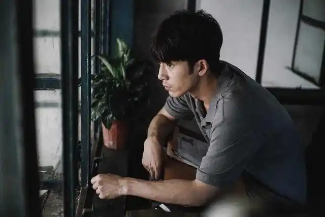 井柏然演过的电视剧有哪些(井柏然演过10部电视推荐)(4)