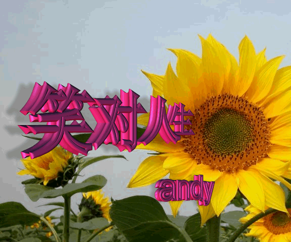 真实的生活中不会花秀常漫的,但只要有一颗乐观坚强的心,本着笑对人生