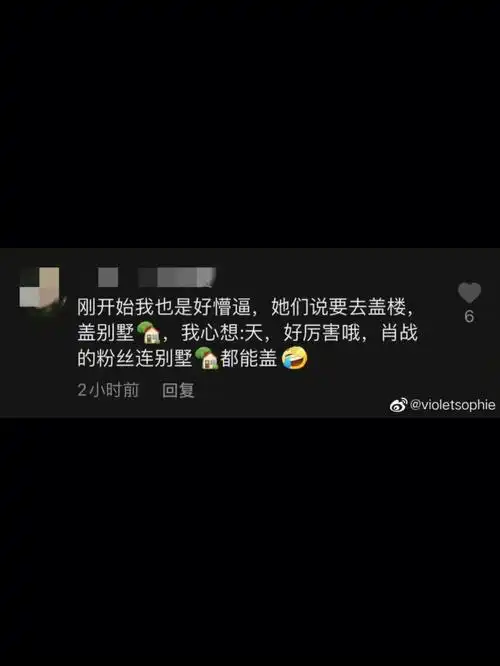 肖战粉丝好厉害,说盖别墅就盖别墅