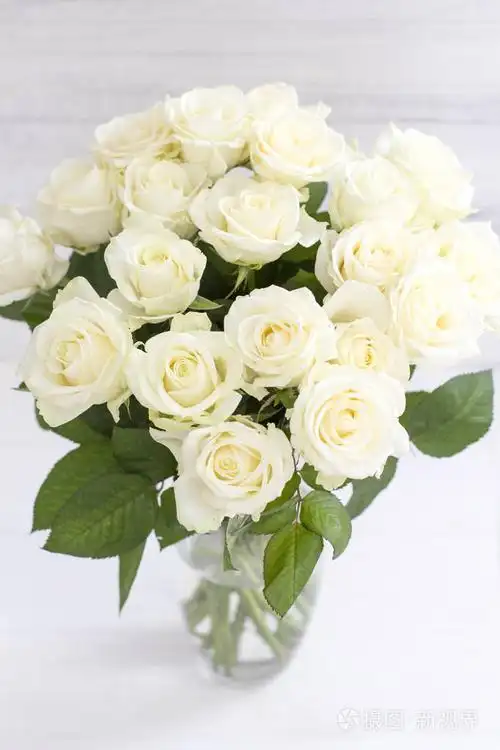 花瓶里有树叶的别致白玫瑰花束