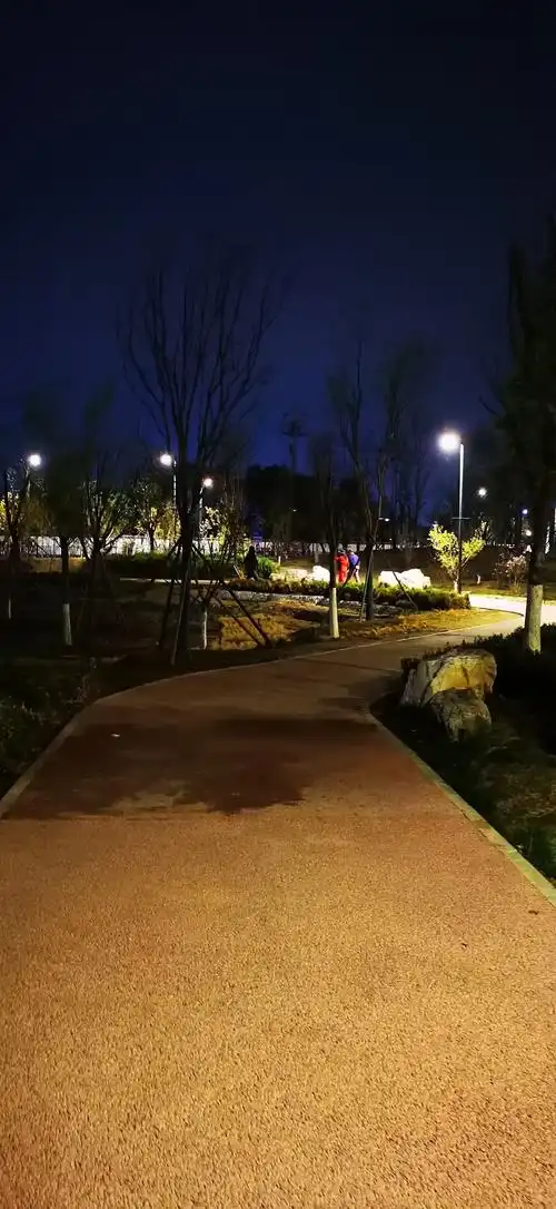 【随拍】晚上散步