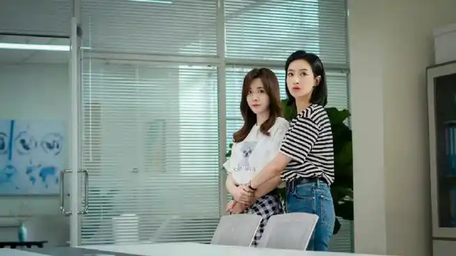 6,主演:宋茜 王晓晨 尹昉 王森#亲爱的生命豆瓣评分5.6分