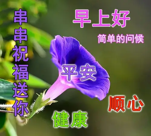 原创清晨问候祝福语动画表情动态图片早安最新暖心问候语句