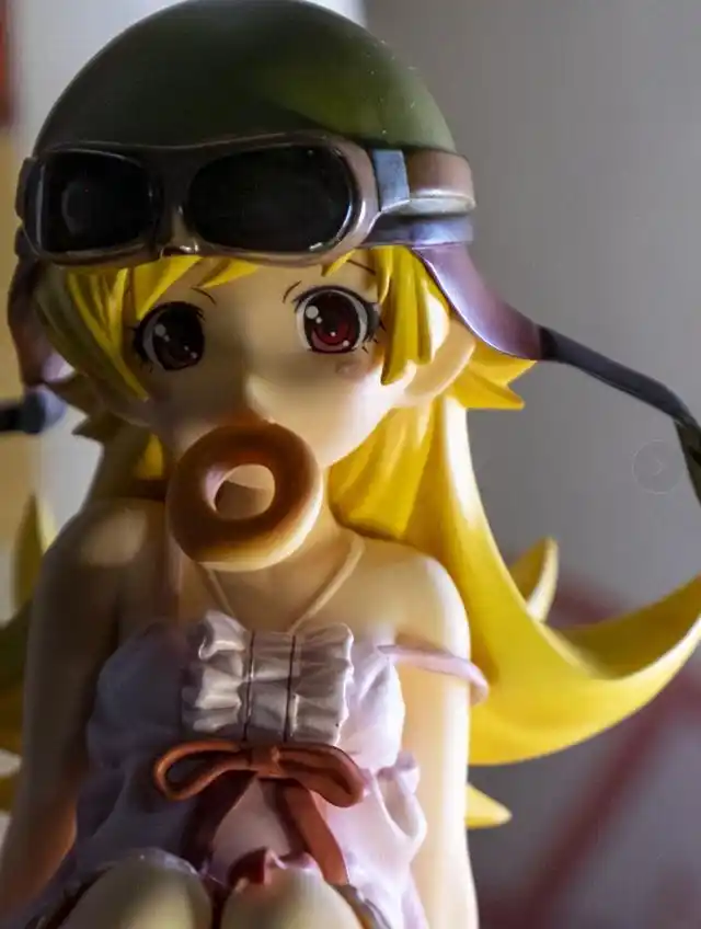 入了一个忍野忍的手办,可爱的确可爱,但说好的创可贴呢?