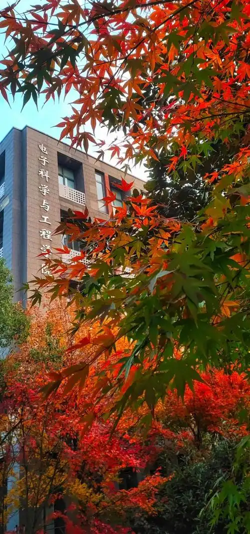 1080_2300竖版 竖屏