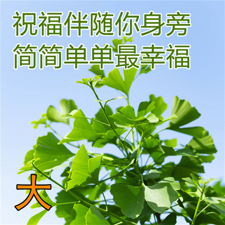 清晨慰问大家早上好图片全集好看的早上好表情包带祝福语