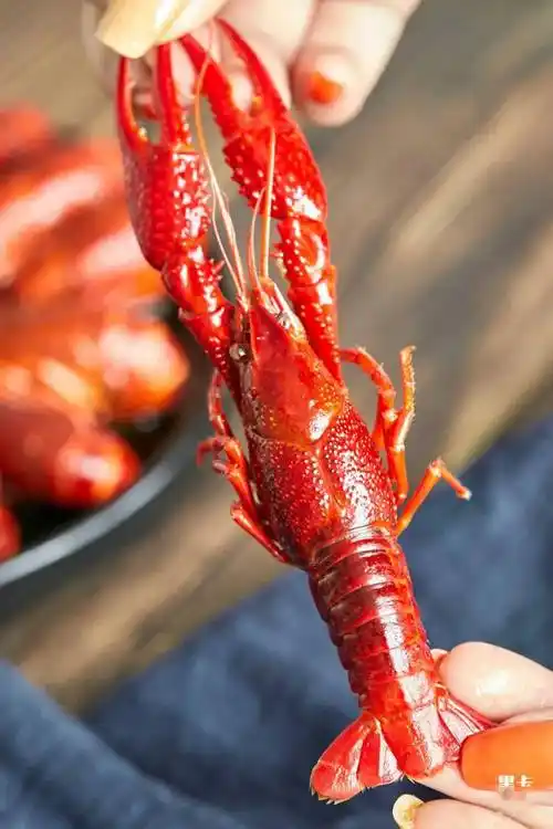 花雕熟醉小龙虾79钱豪横版上线好吃到疯狂嗦手指每晚必须整几盘