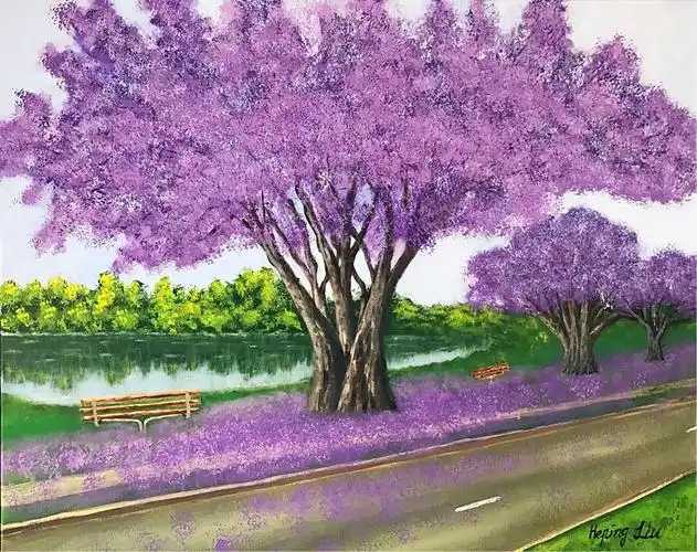 画一画身边:布里斯班及周边