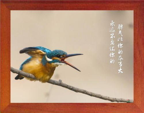 营养书画 天然实木有框画现代装饰画 不要让你的脾气比你的本事大