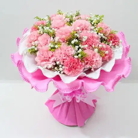 19朵粉康乃馨粉包装花束深圳鲜花店速递南山科技园送妈妈