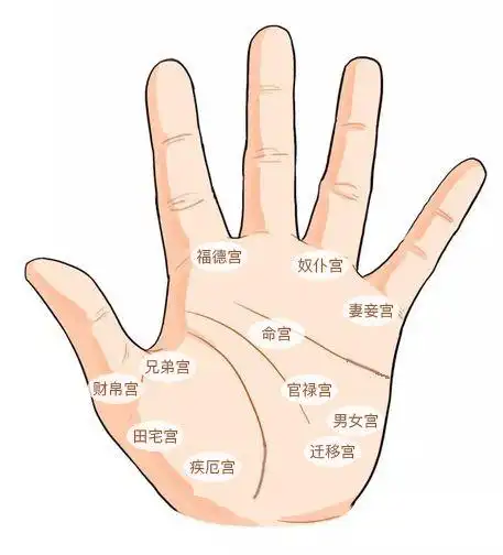 手掌中间有痣的人财富感情运都比较好