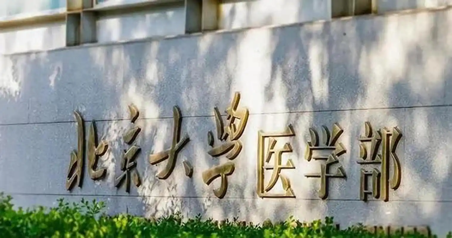 北大医学院招生门槛高,学霸云集!但就业市场优质岗位稀缺?