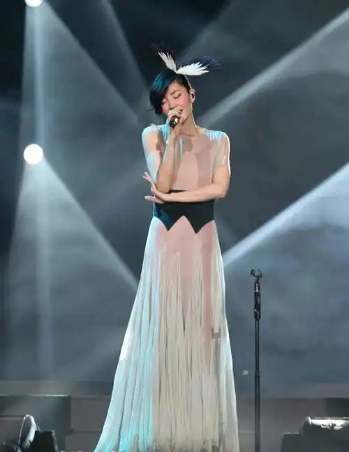 菲比寻常我最爱的王菲演唱会造型