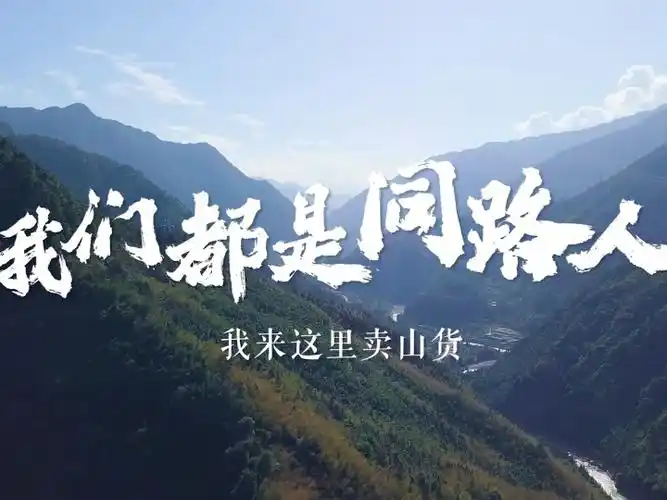 我们都是同路人丨我来这里卖山货