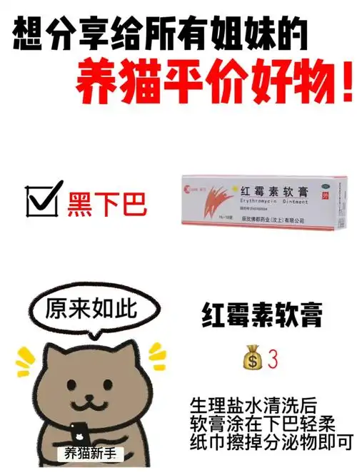 猫咪宠医不想告诉你的九种物平替