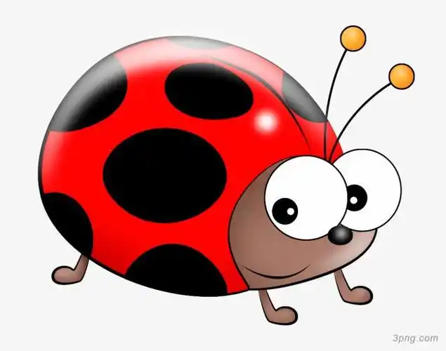 卡通七星瓢虫png素材透明免抠图片-其他元素