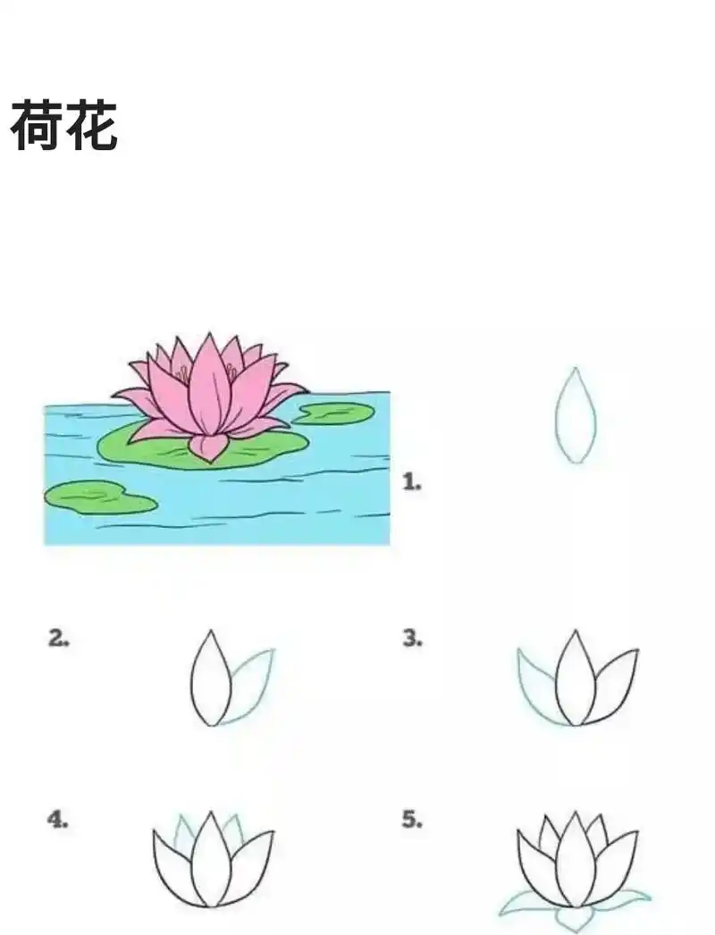 简笔画#图文伙伴计划 花简笔画 六步画荷花,牡丹 - 抖音