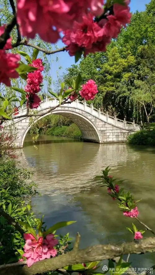 啊,春天真好,让我们用心去感受大自然的美景吧.