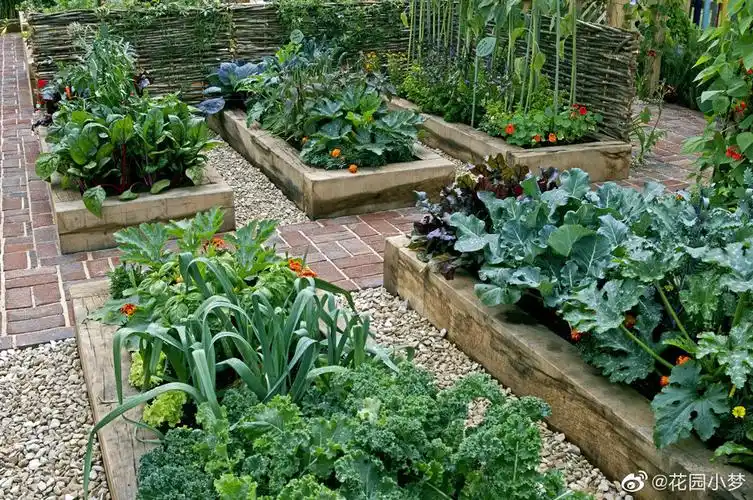 当然,要是菜园美得跟花园一样就更棒啦!晚安  0