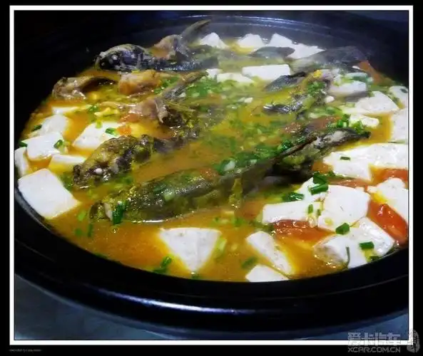 二,昂丁鱼炖豆腐.