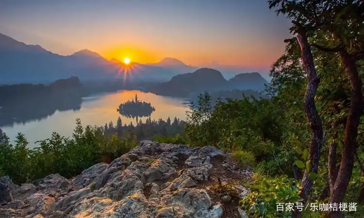 山上长着很多树,远处有很多山,山后的太阳正在冉冉升起.