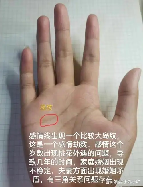 感情线上有大岛纹,结合手掌五行看,会有桃花外遇问题出现,导致很长