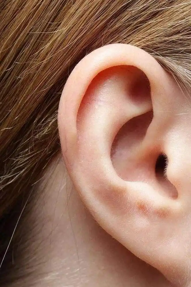 耳朵不同命不同?"穷人耳""富人耳"有啥差别?你的耳朵是啥样
