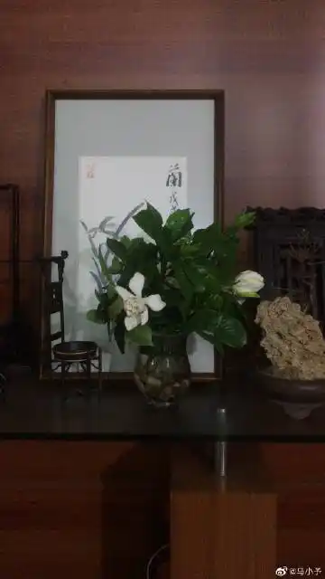 出版《淋湿》《女记者》等书头条文章作者   关注 g 私信 = 超过 2000