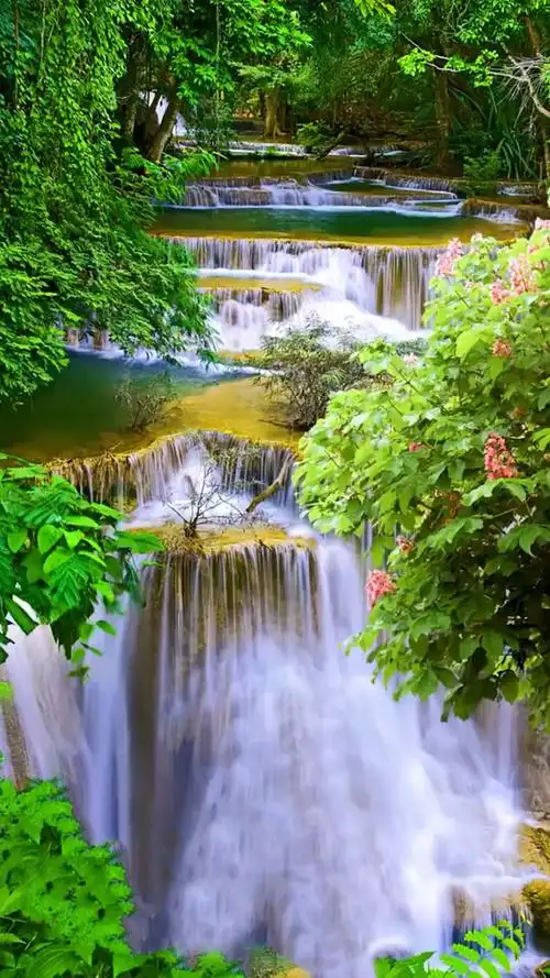 最美的风景#保持心情舒畅,你的六月好运即将派件,请注意查收,流水