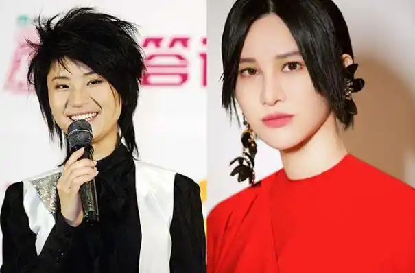 消息也是网友讨论的话题,并且还有网友晒出了尚雯婕整容前后对比照