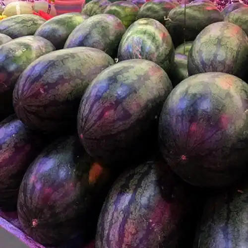 黑美人西瓜5.2-6.5斤