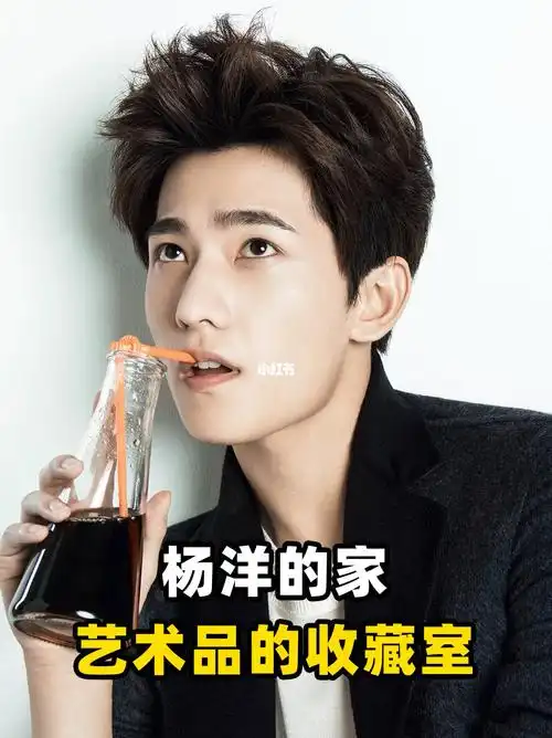 明星杨洋的豪宅第十二季73