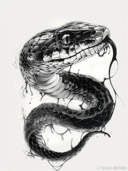 图案分享    蛇纹身    #纹身分享##纹身设计##北京纹身店##纹身素材