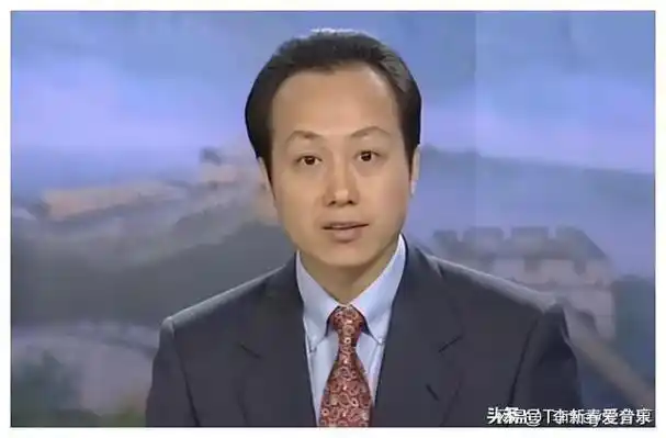 央视二十位帅气的男主持人排名