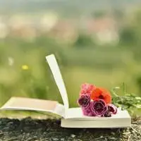 一本翻开的书的qq头像图片大全一本翻开的书图片头像唯美好看